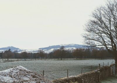 View from the office this morning…